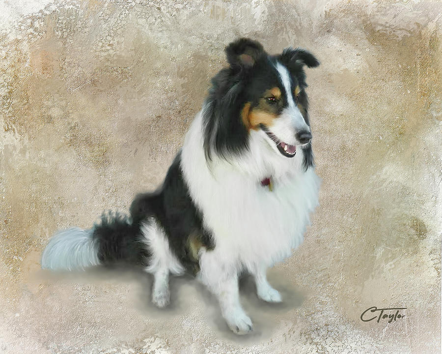 Lexi Mixed Media by Colleen Taylor
