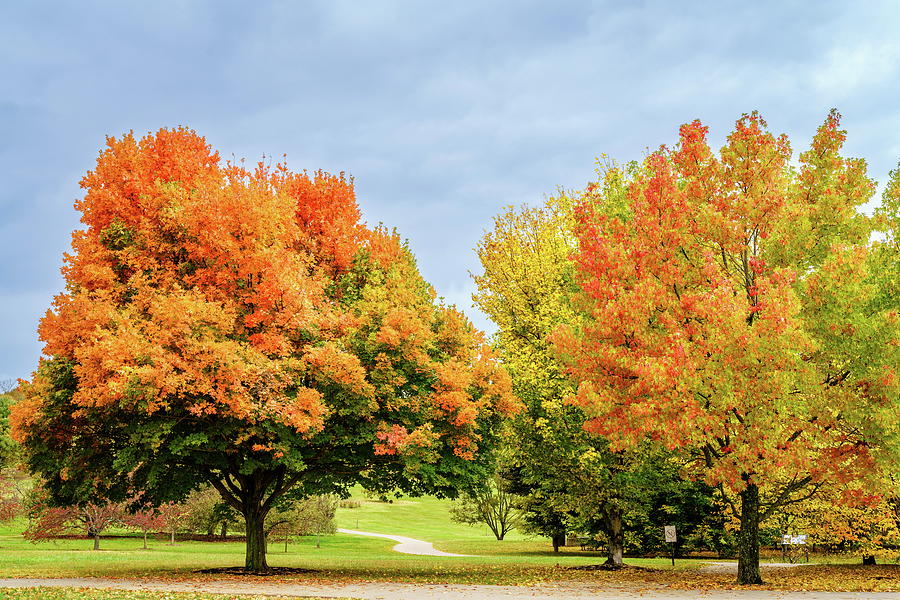 Lexington Arboretum in fall Photograph by Alexey Stiop