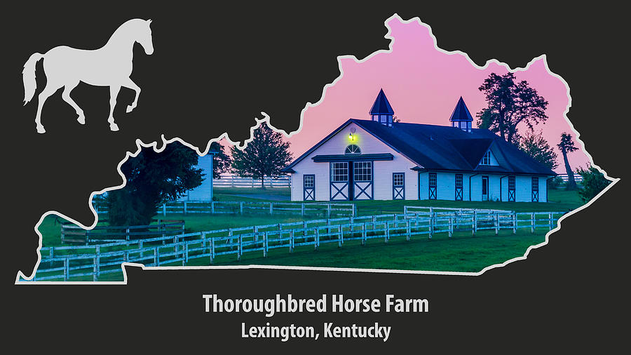 Lexington Kentucky Thoroughbred Horse Farm At Sunrise Photograph by Gary Whitton