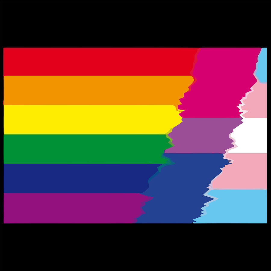 Lgbt Rainbow Transgender Bisexuality Flag Womens Wall Art Prints Design ...