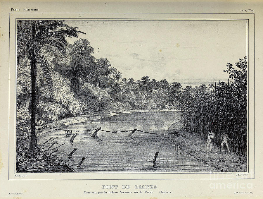 Liana Bridge 1835 u1 Photograph by Historic illustrations