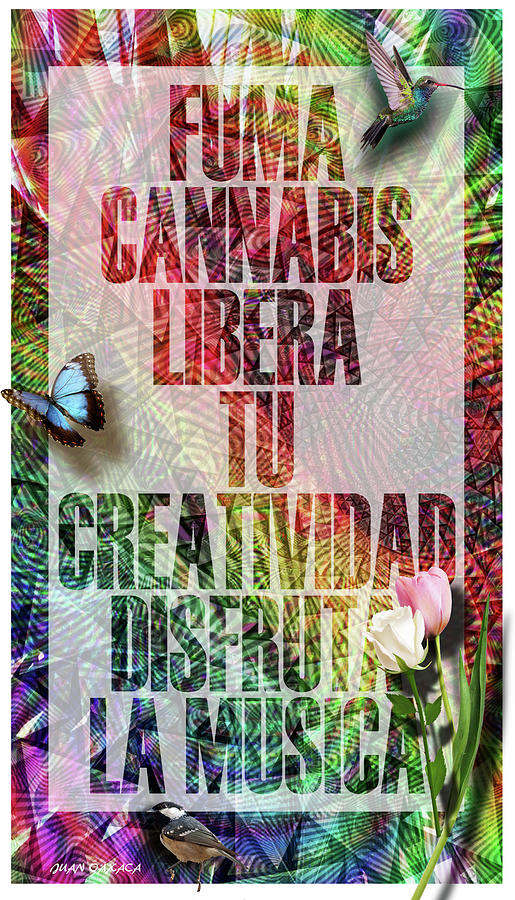 Libera Tu Creatividad Digital Art by J U A N - O A X A C A