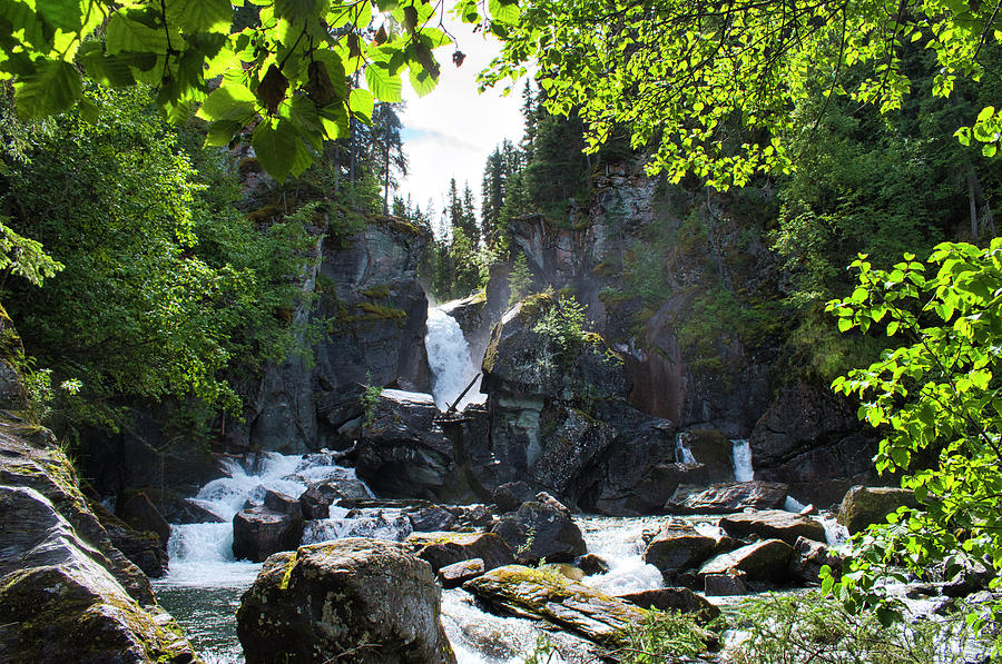 Liberty Falls - Chitina Alaska Photograph by Cathy Mahnke