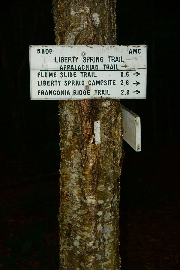 Liberty Springs Trail Photograph by Raymond Salani III