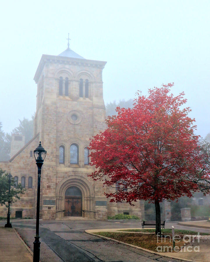 Liberty Tree into the fog Photograph by Janice Drew