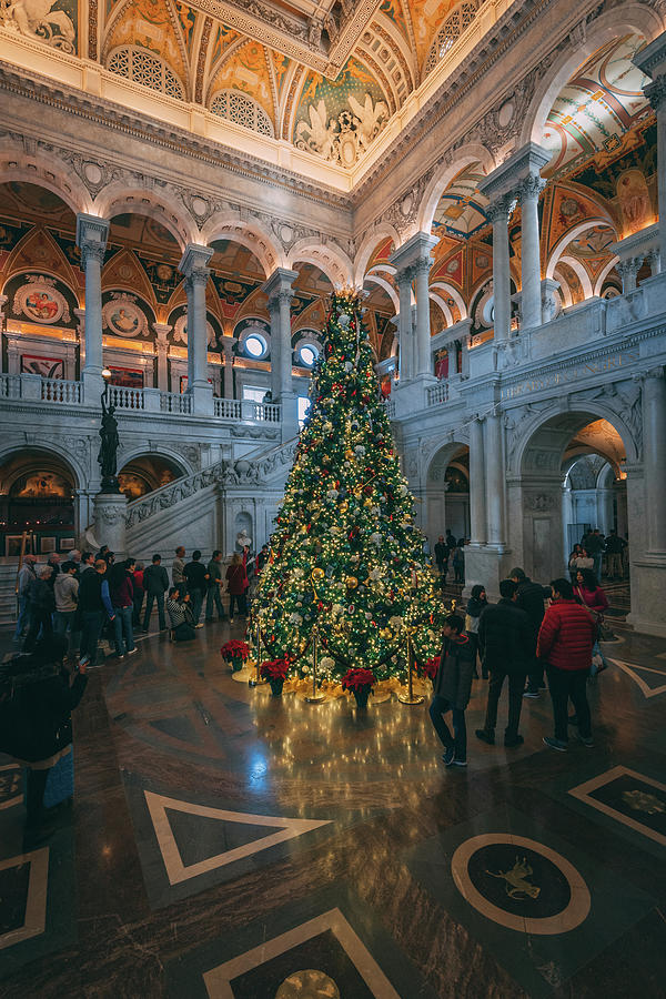 Library of Congress Christmas Tree 02 Photograph by Jon Bilous Fine