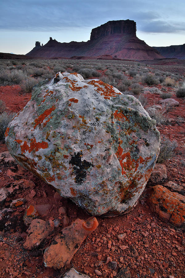 Lichen Covered Boulder In Castle Valley Photograph