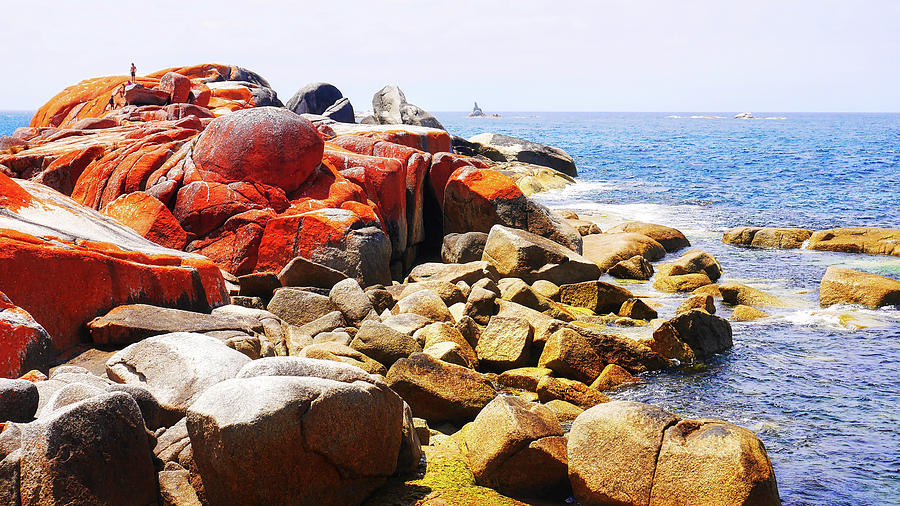 Lichen Covered Rocks Bay of Fires Photograph by Lexa Harpell