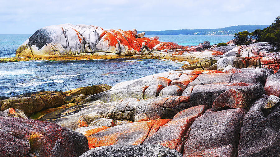 Lichen Covered Rocks Photograph by Lexa Harpell