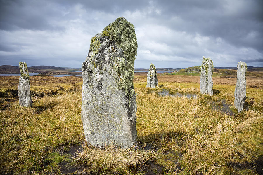 Lichen on the Callanish IV Standing Stones, Isle of Lewis Photograph by Theasis