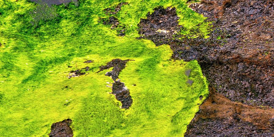 Lichen Rocks Abstract Photograph by Jerry Sodorff