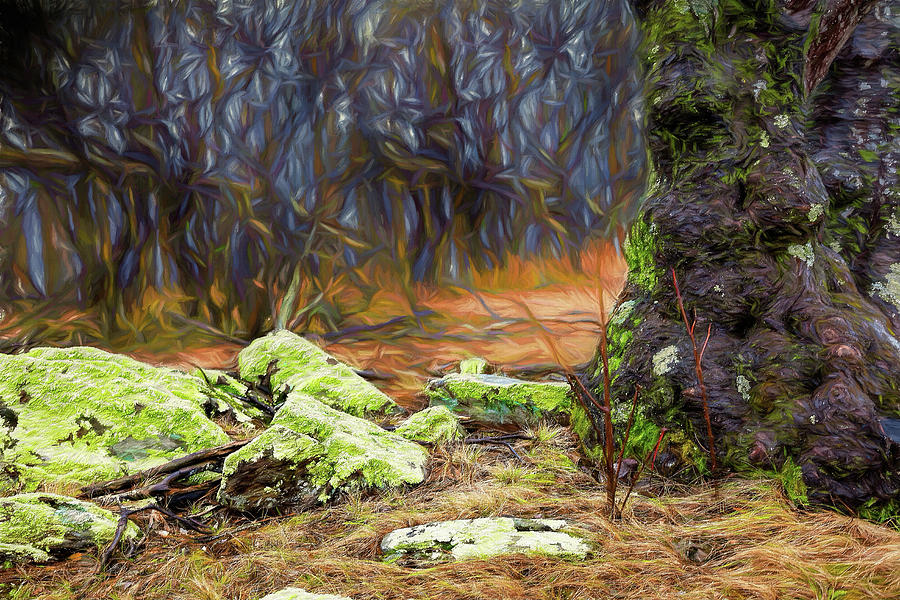 Lichen the Rocks ap Painting by Dan Carmichael