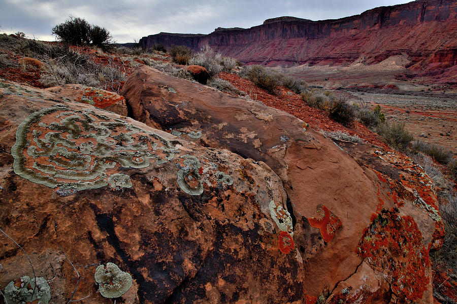Lichens and Buttes in Castle Valley Photograph by Ray Mathis