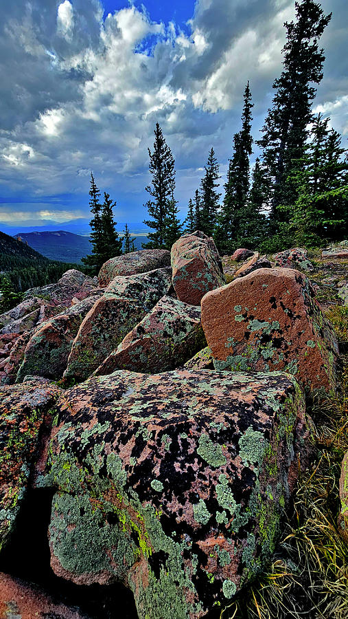 Lichens Galore at Pikes Peak0 Photograph by Ray Mathis Lichens Galore at Pikes Peak0 Photograph by Ray Mathis
