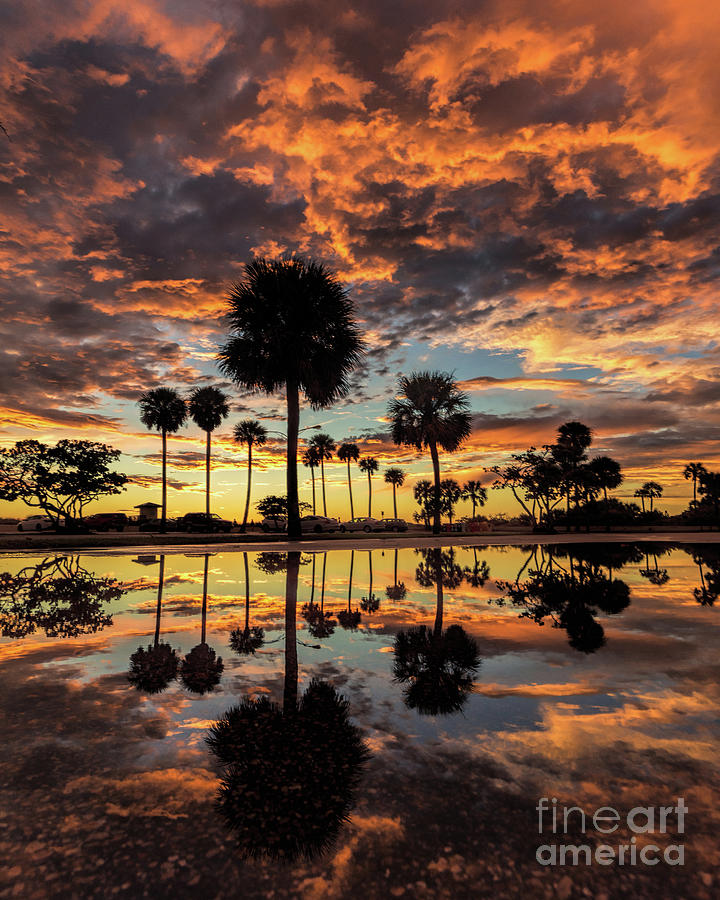 Sunset Photograph - Lido Sunset Reflections V2 by Damon Powers