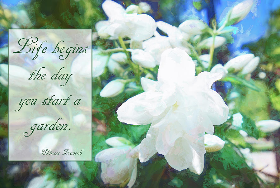 Life Begins the Day You Start a Garden Photograph by Maria Keady - Fine ...