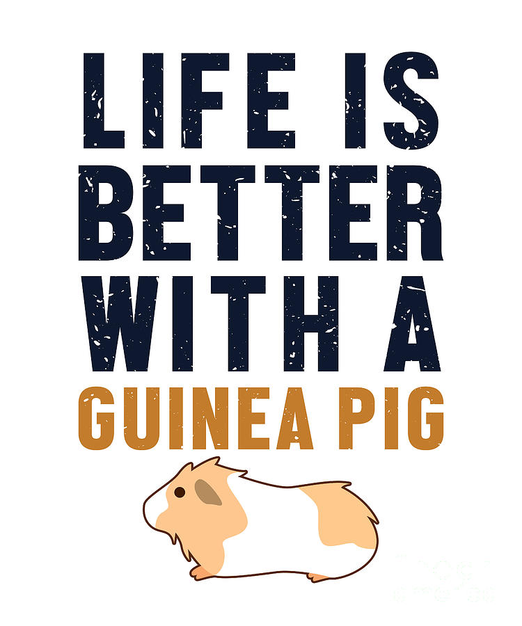 Life Better With Guinea Pig Long Hair Guinea Pigs Digital Art by ...