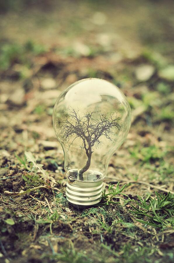 Life Bulb #2 Photograph by Adrian Limani Life Bulb #2 Photograph by Adrian Limani