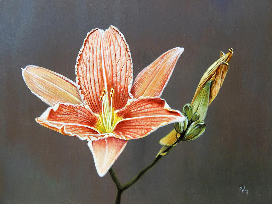 Lily Painting - Life Decay and New Beginning by Arie Van der Wijst