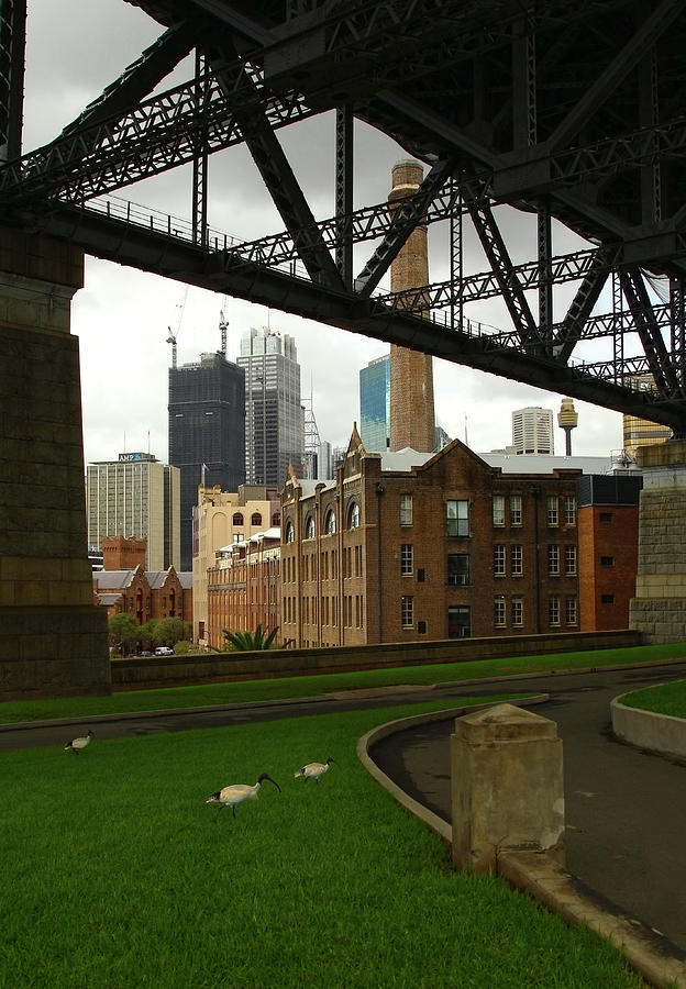 Sydney Photograph - Life From Beneath the Bridge - Sydney by Siene Browne Sydney Photograph - Life From Beneath the Bridge - Sydney by Siene Browne