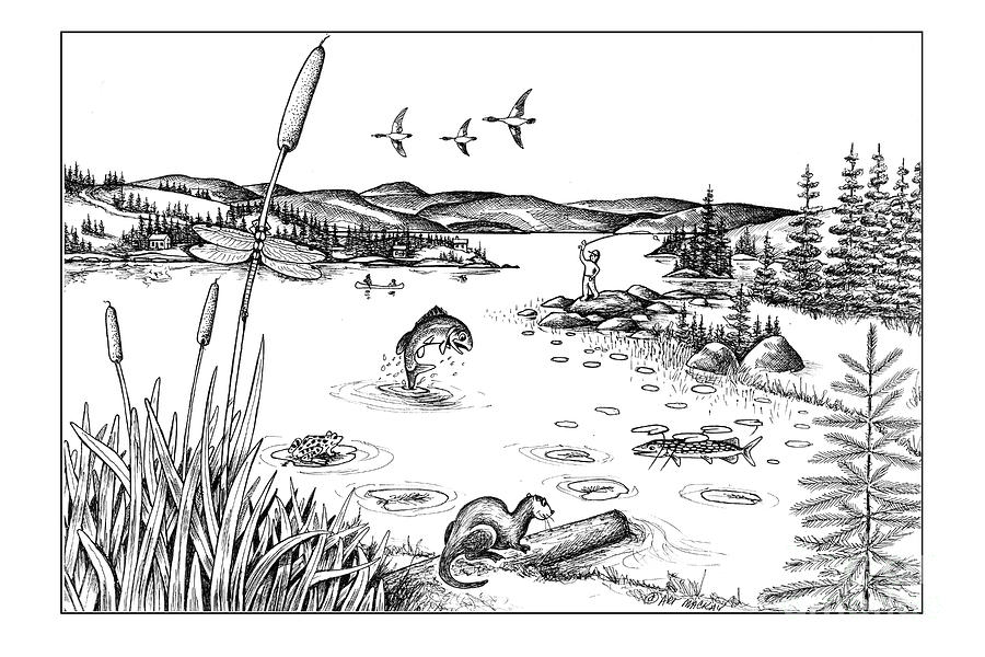 LIFE IN A LAKE TO COLOR and LEARN Drawing by Art MacKay