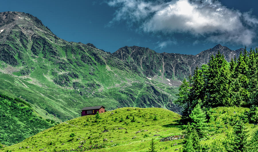Life in the Beautiful Swiss Alps Photograph by Marcy Wielfaert