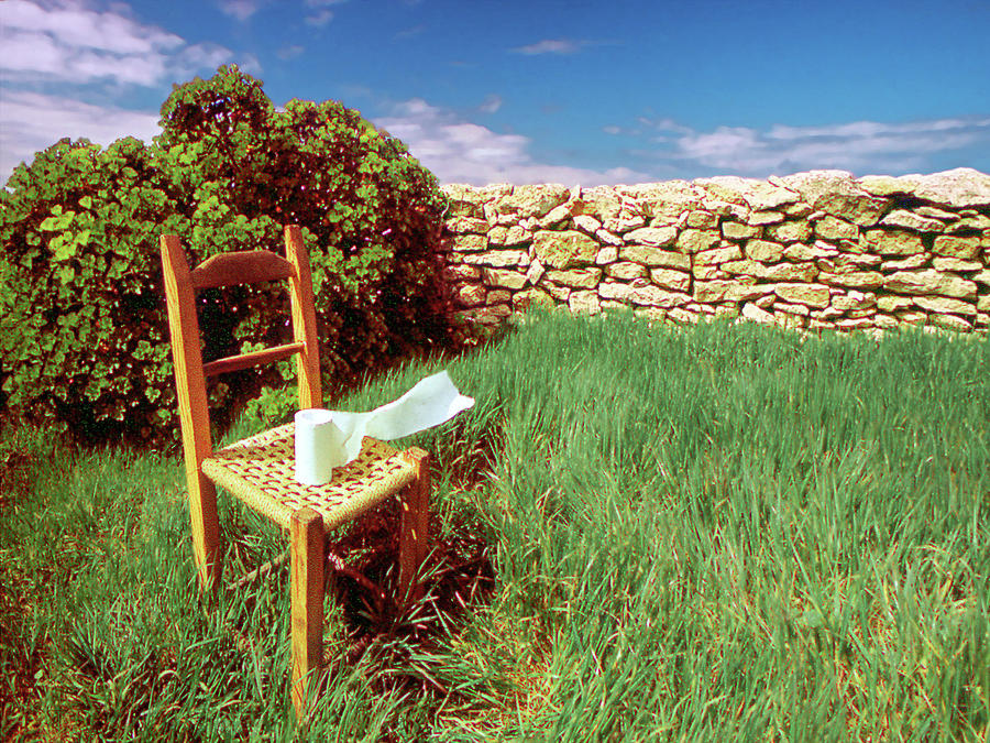 Wood Chair Photograph - Life In The Great Outdoors by Daniel Furon