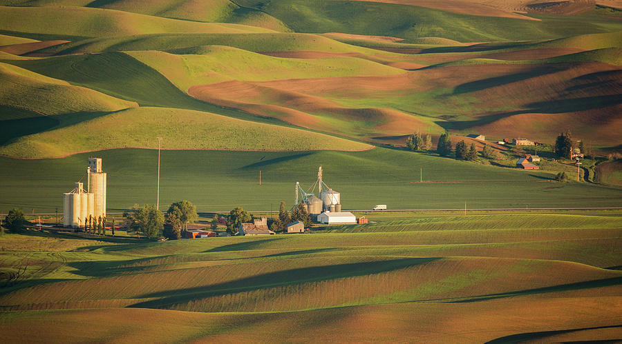 Life in the Palouse Digital Art by Phil Dyer