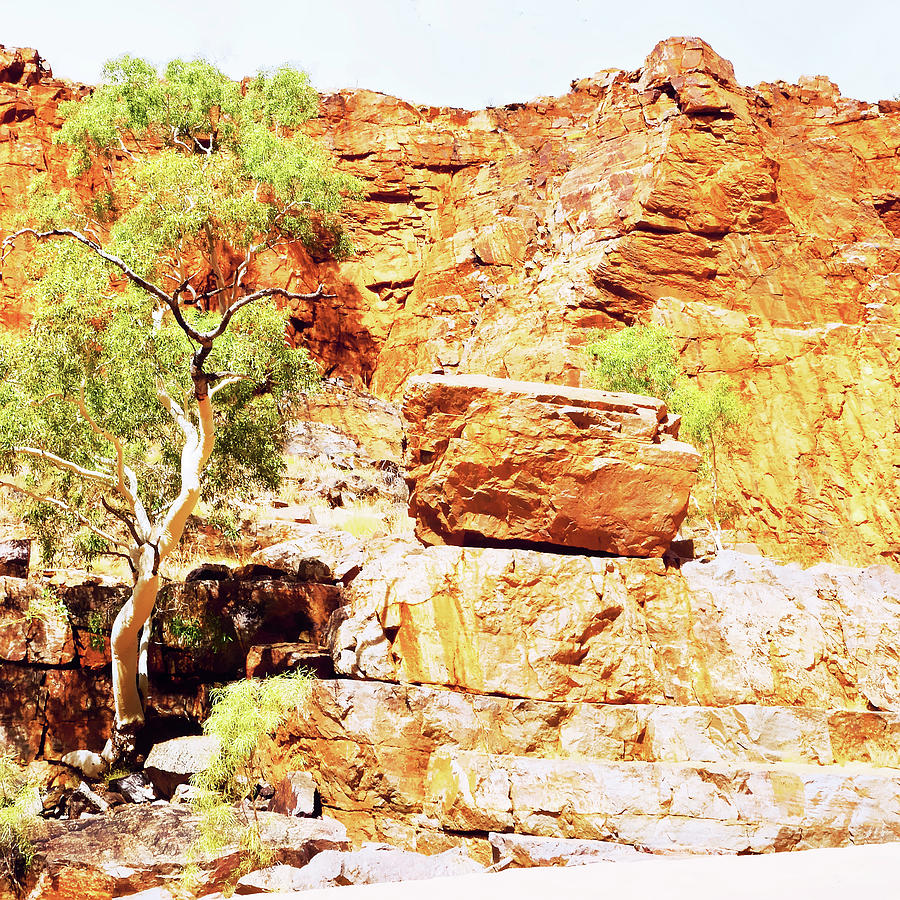 Life in the Rocks - Ormiston Gorge Photograph by Lexa Harpell