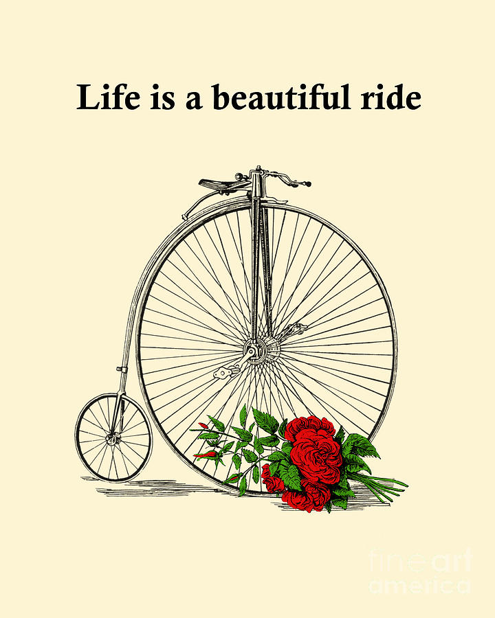 Rose Digital Art - Life is a beautiful ride bicycle quote by Madame Memento