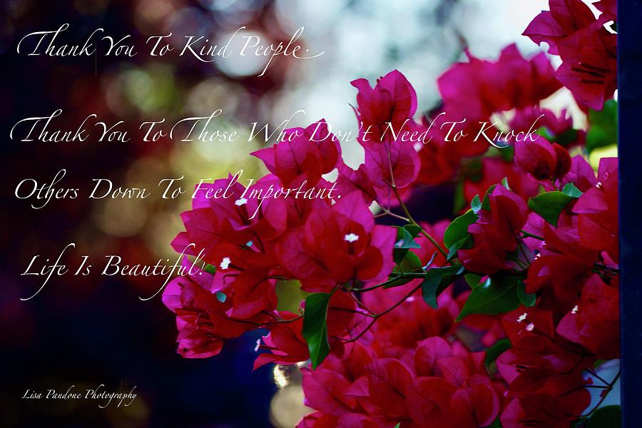 Life Is Beautiful by Lisa Pandone Life Is Beautiful by Lisa Pandone