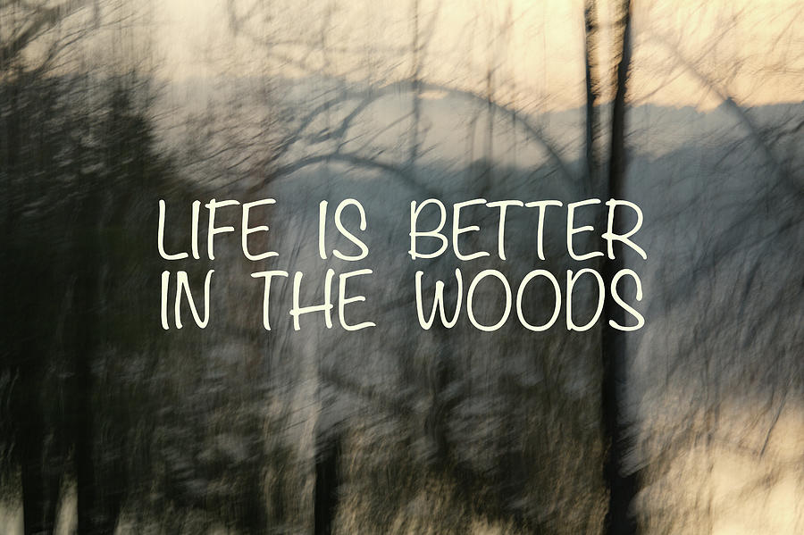 Life Is Better In The Woods  Mixed Media by Ann Powell