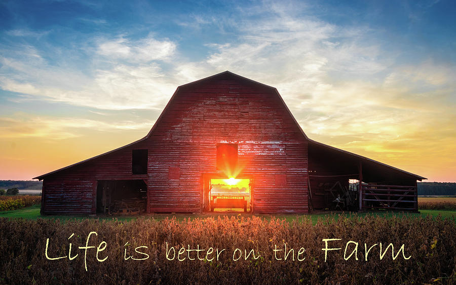 Life Is Better On The Farm Barn Photograph by Jordan Hill