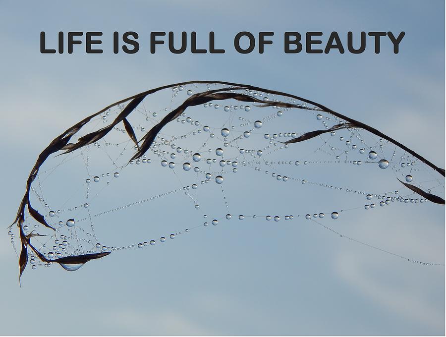 Life Is Full Of Beauty Photograph by Gallery Of Hope
