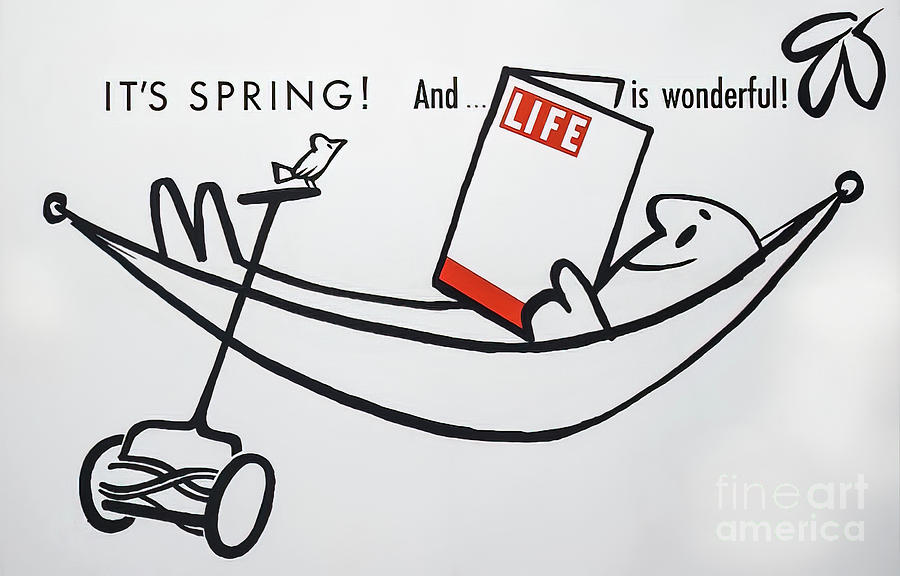 Life is Wonderful Poster Drawing by M G Whittingham