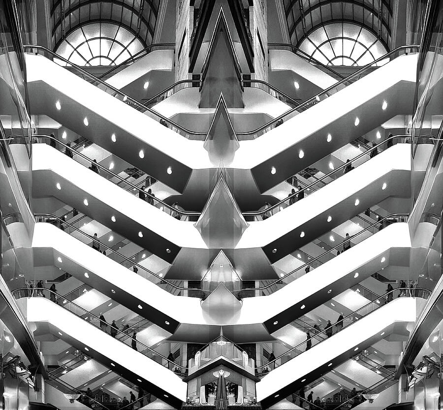 Life Photograph by Jim Signorelli Life Photograph by Jim Signorelli