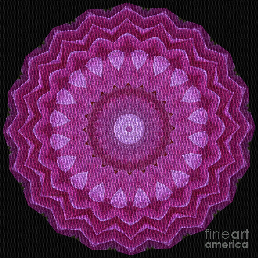Life Layers Mandala Digital Art by Yvonne Johnstone