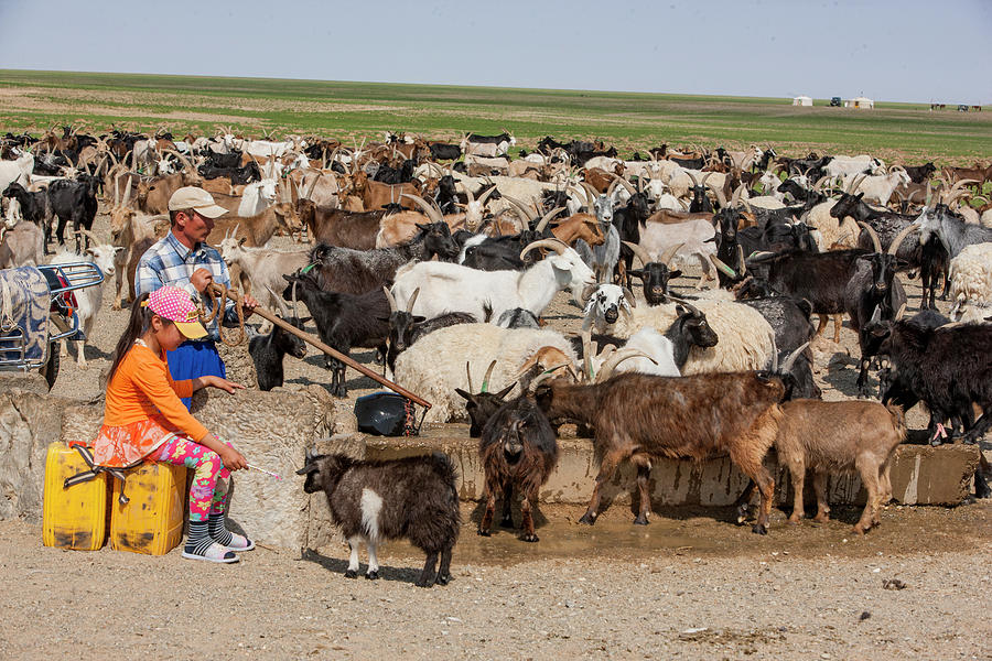 Life of Countryside Photograph by Bat-Erdene Baasansuren