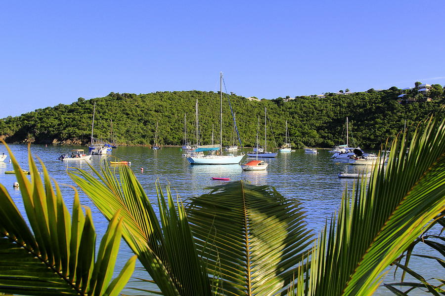 Life On A Sail Boat In The Usvi Photograph