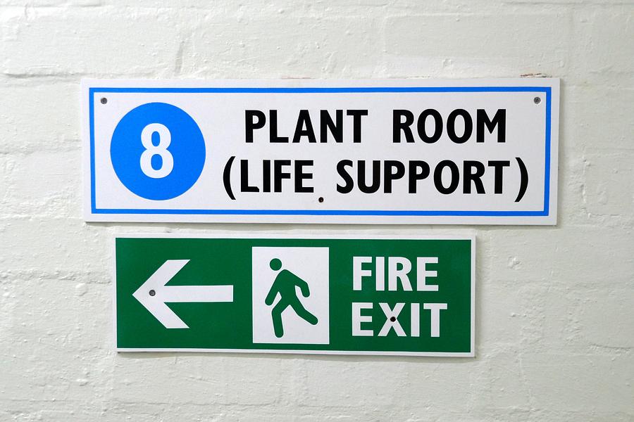Life Support via Plants Photograph by Ian Hutson