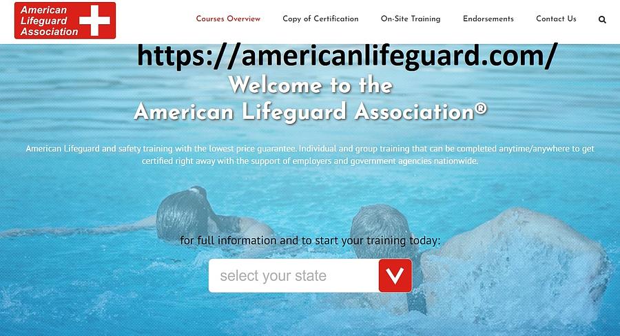 Lifeguard certificate Digital Art by Lifeguard certificate - Fine Art ...