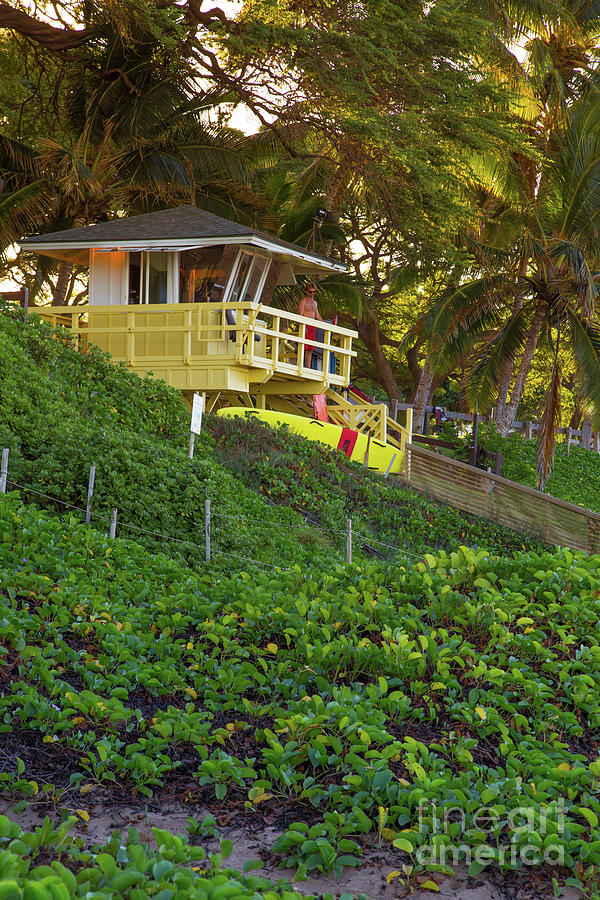 Lifeguard Station Maui Hawaii Photograph by Edward Fielding