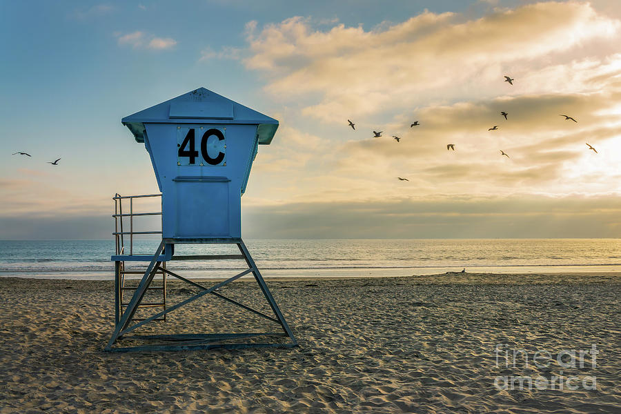 Lifeguard tower and seagulls on Coronado beach in San Diego Photograph by Delphimages Photo Creations