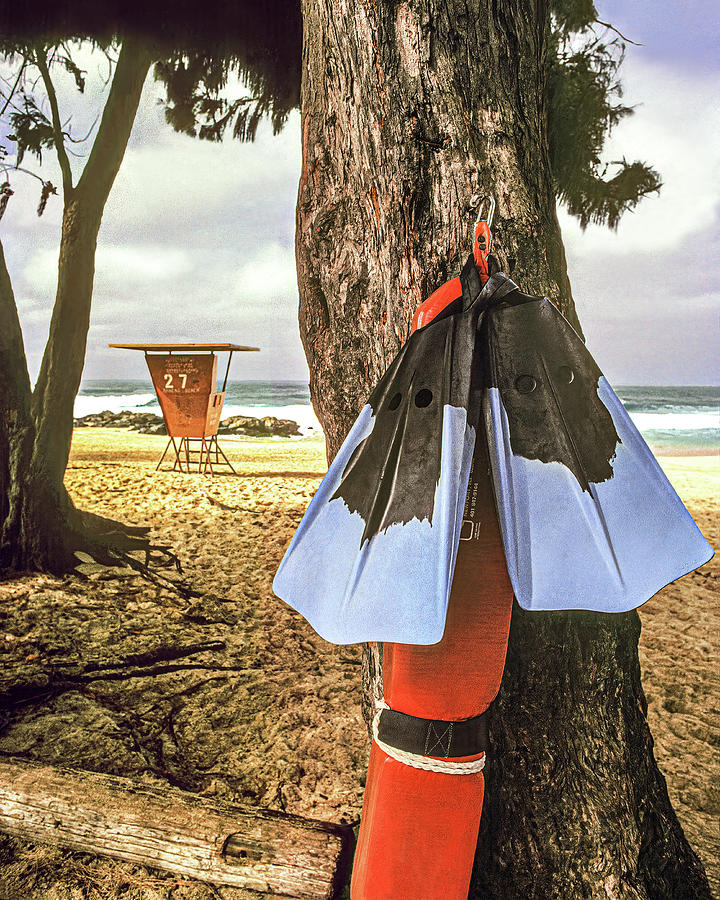 Lifeguard Tower, Hawaii Photograph by Don Schimmel