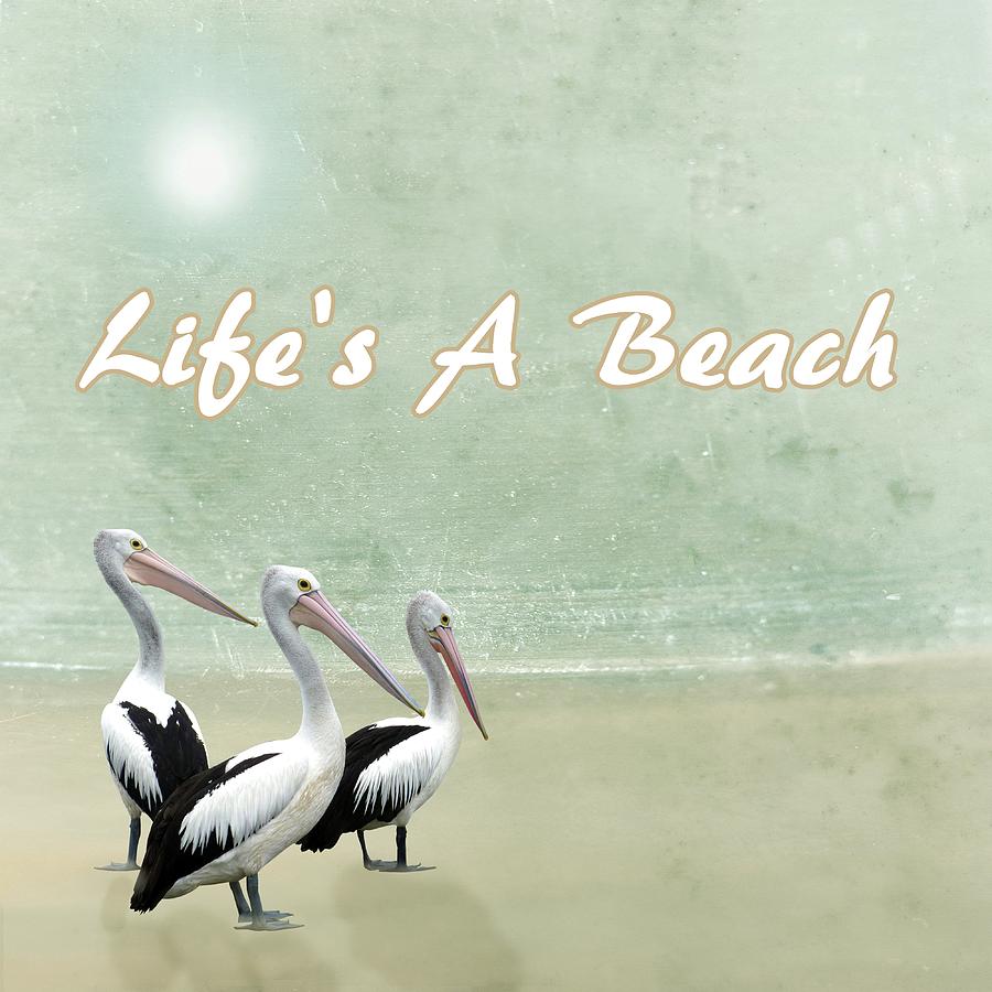 Lifes A Beach Pelican Beach Mixed Media by David Dehner
