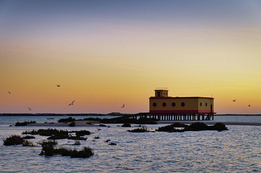 Lifesavers building and birds in Fuzeta. Portugal Photograph by Angelo DeVal