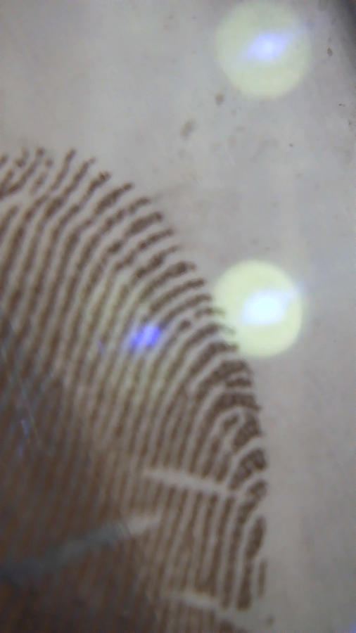 Lifting Fingerprints Photograph by Eileen Backman