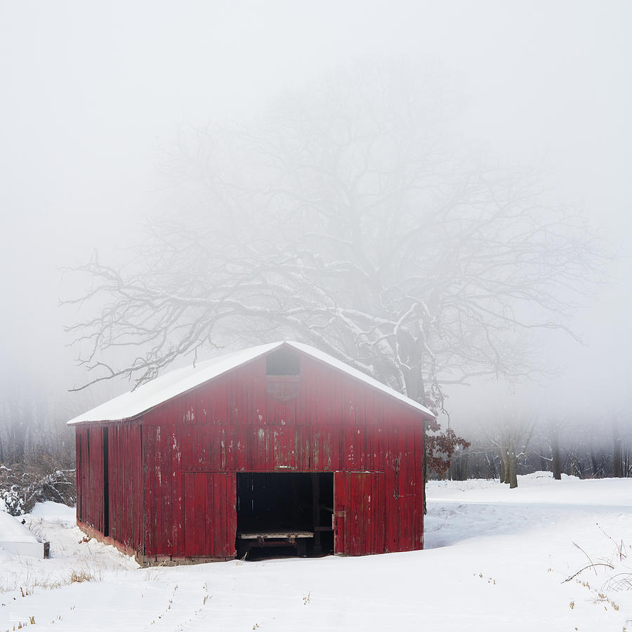 Lifting fog above red tobacco shed sheltered by oak tree near Stoughton WI on Stebbinsville road Photograph by Peter Herman