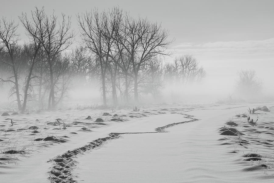 Lifting Fog In A Winter Landscape Photograph