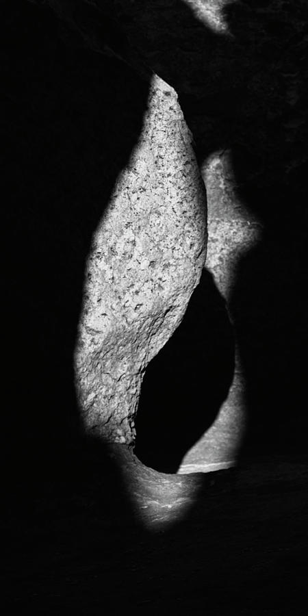 Light and Shadow Photograph by Mary Lee Dereske